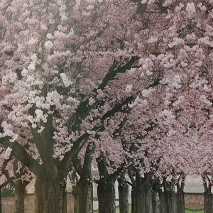 Meet your Posher, Lorraine